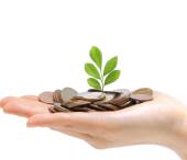 FINANCIACION SIN INTERESES SERVIWEBSI FINANCIACION SIN INTERESES SERVIWEBSI