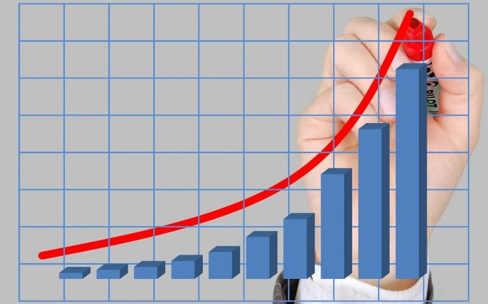 Crecimiento web 